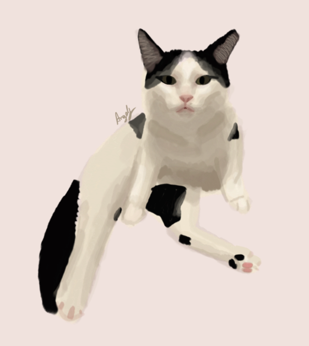 Oreo