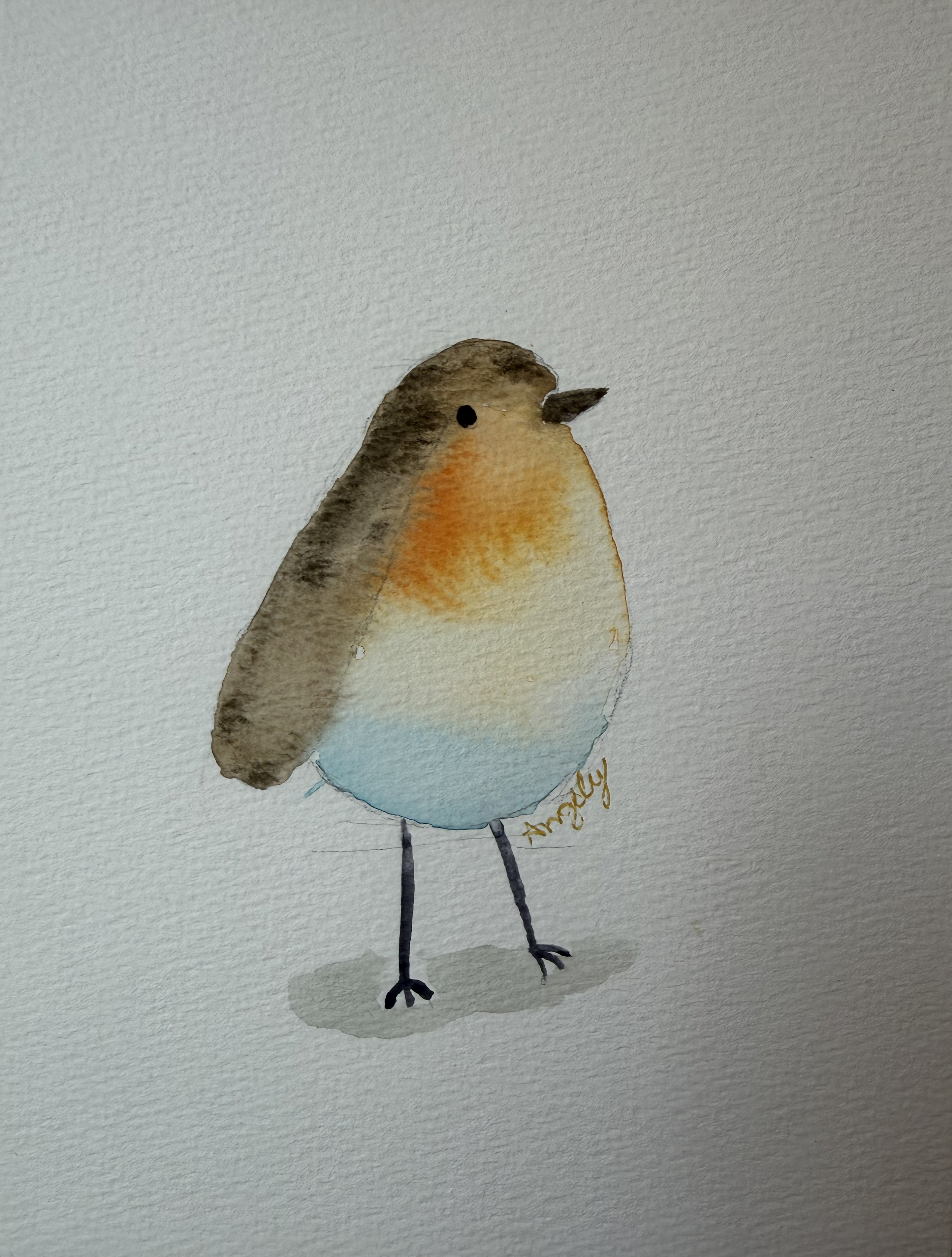 Bird