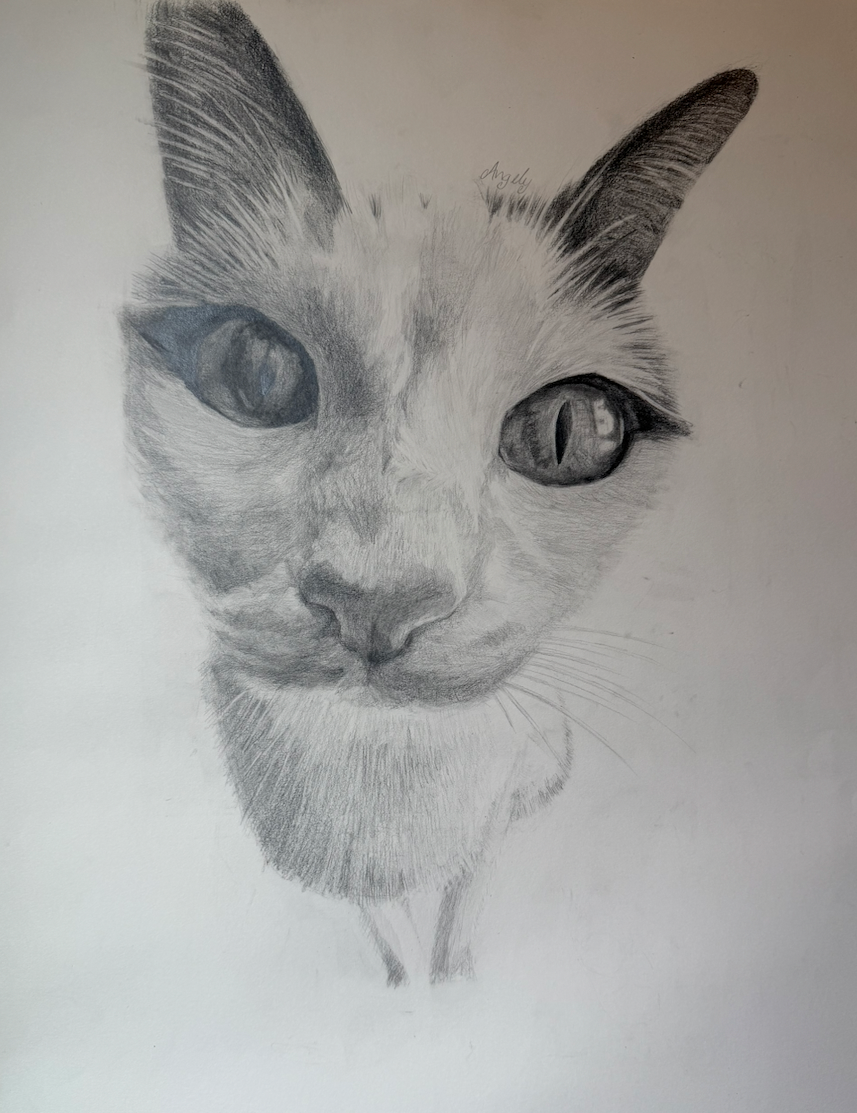 Oreo